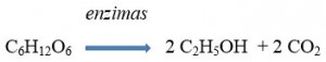 equação de conversão da glicose em etanol