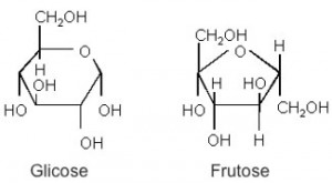 glicose e frutose