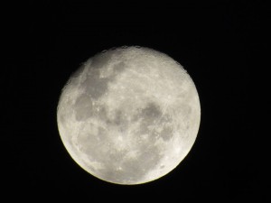 Moon Photo of Mariana Pinheiro