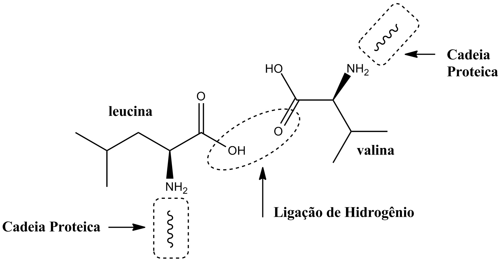 Ligação de hidrogenio
